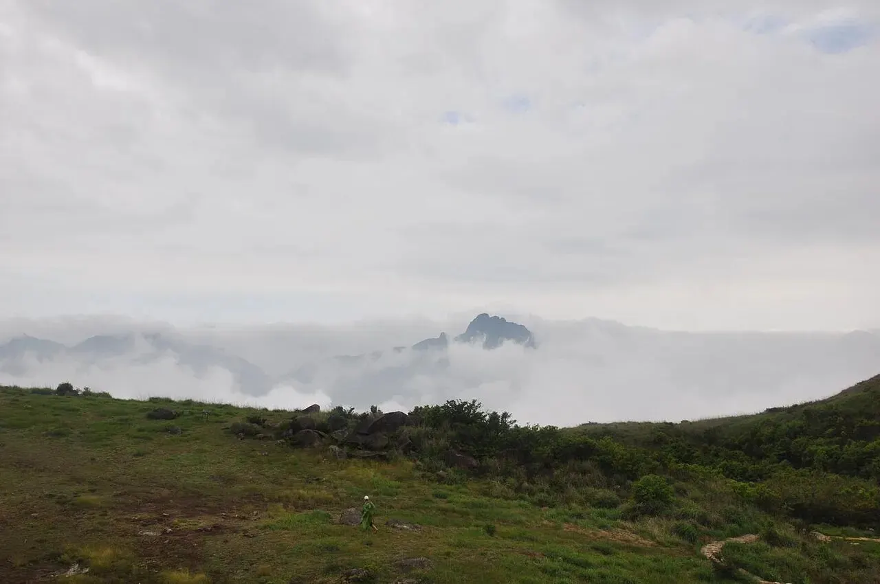凤凰山高山草甸