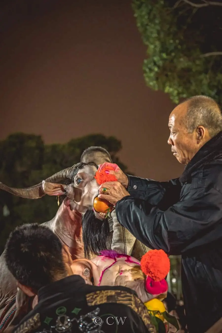 一位老人抱着猪头