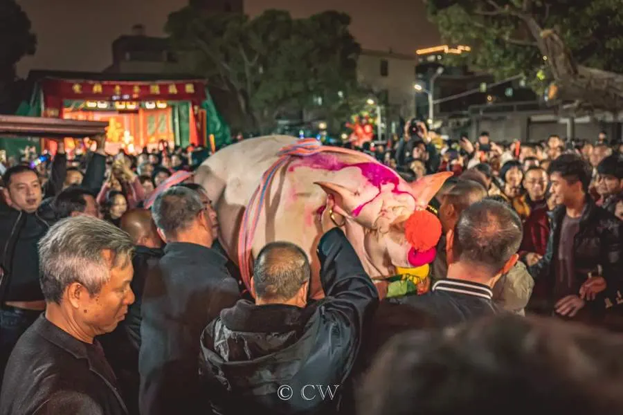 人群在夜里抬着猪往前走